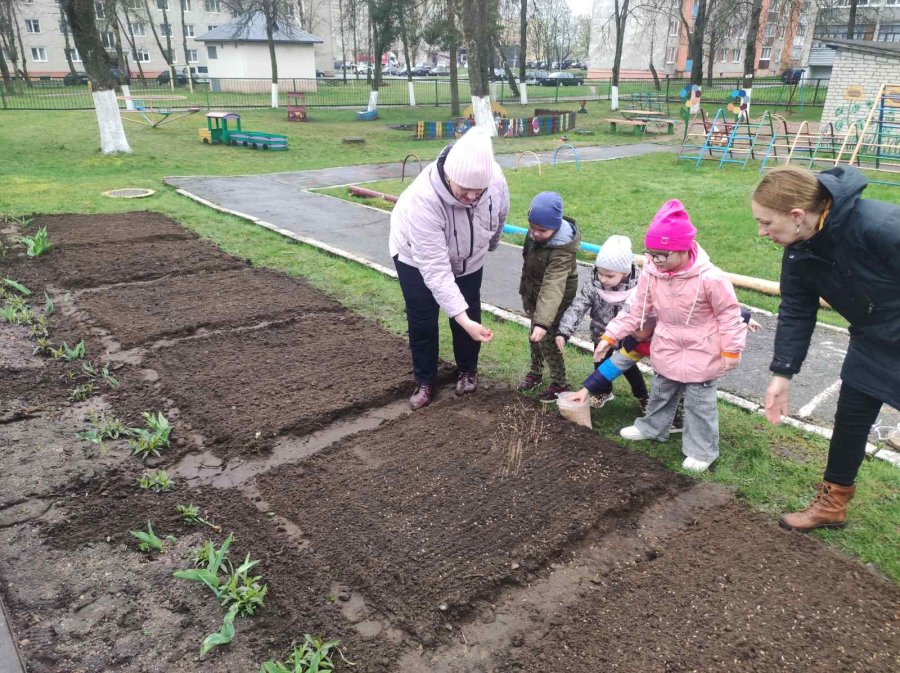 Посев зерновых юными тружениками