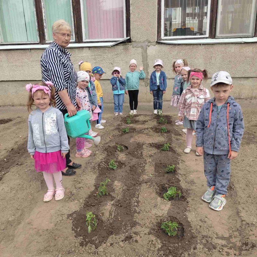 Загадки на грядке