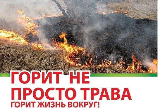 Внимание! Сухая растительность!