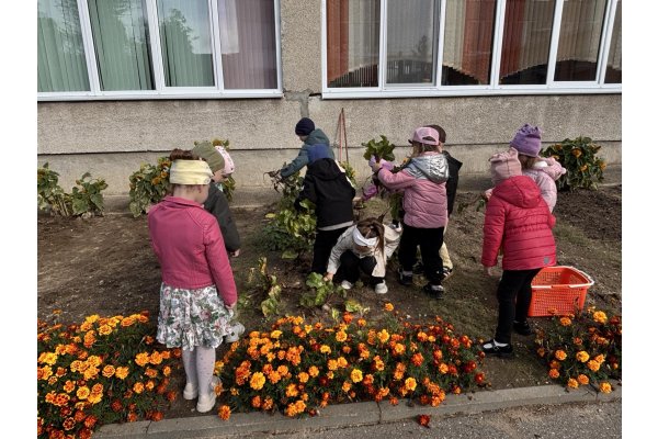 Вырос урожай на радость ребятам