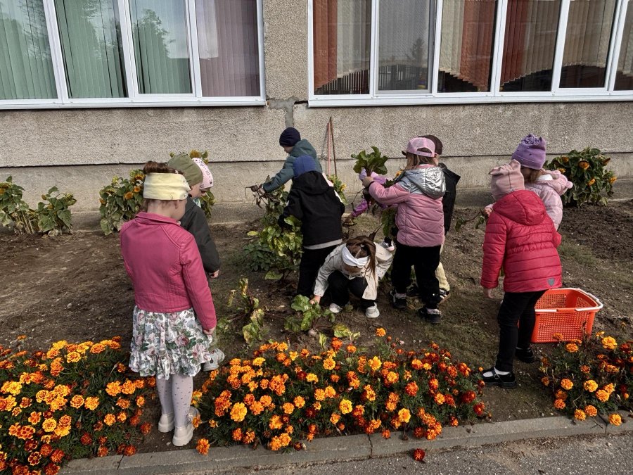 Вырос урожай на радость ребятам