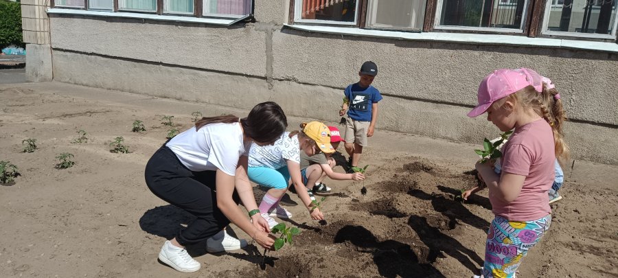 Сладкий перец, расти ребятам на радость