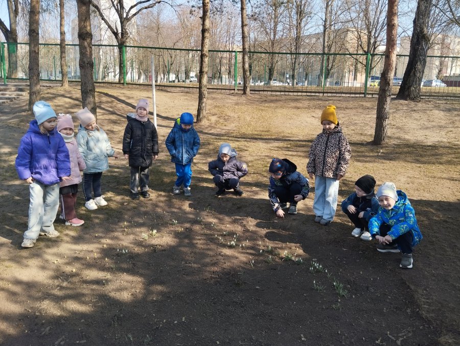 В гости к первоцветам