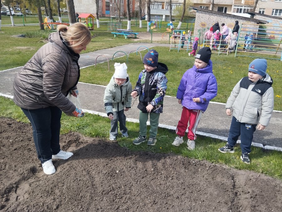 Сеем зерновые и полевые культуры